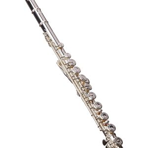 Clarinet - Professional